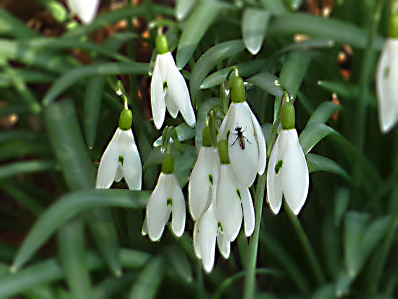 Frühling/Herbst